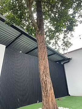 Snapshot of Bella-Ferrer chatting on March 2026 06:24:01 PM Bella-Ferrer online show from March 2026 06:24:01 PM