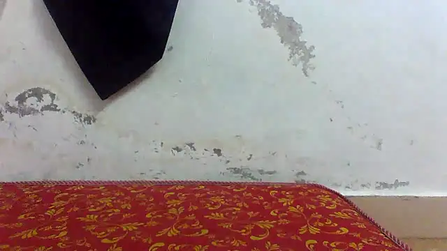 Nhlax22 online show from April 2026 04:00:01 AM