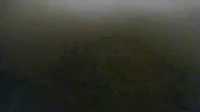 Snapshot of steven_mar43684 chatting on May 2026 09:28:01 AM steven mar43684 online show from May 2026 09:28:01 AM