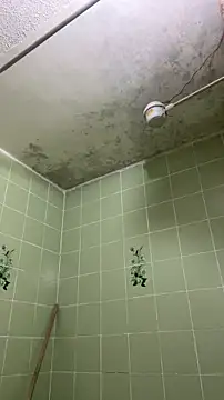 Snapshot of sylphiee_ chatting on April 2026 11:54:02 AM sylphiee online show from April 2026 11:54:02 AM