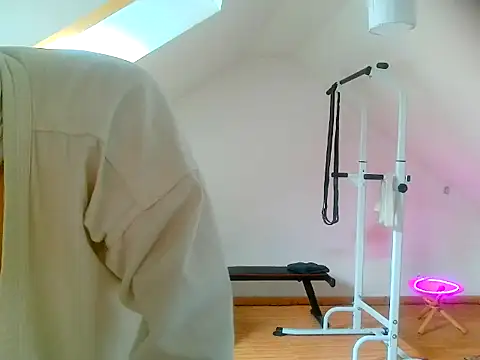 NinjaLaser online show from April 2026 11:27:01 AM