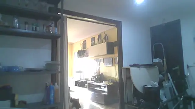 anastasia-evans online show from April 2026 05:55:01 PM