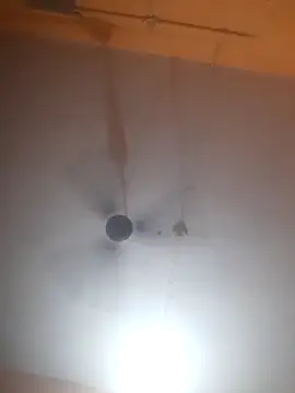 bodymassage455 online show from April 2026 01:12:02 PM