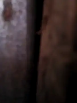 Snapshot of Any_120 chatting on April 2026 08:45:01 AM Any 120 online show from April 2026 08:45:01 AM