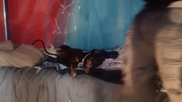 Snapshot of punkyslut69 chatting on April 2026 06:25:02 PM punkyslut69 online show from April 2026 06:25:02 PM