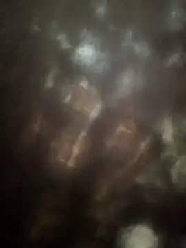 Mona ji32 online show from March 2026 06:41:01 AM