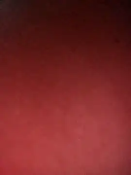 Snapshot of leidi-95- chatting on April 2026 03:34:02 PM leidi-95- online show from April 2026 03:34:02 PM