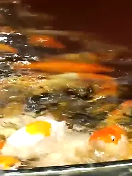 Enmy 24 online show from April 2026 12:54:01 PM