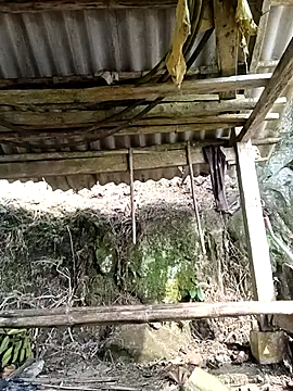 Snapshot of NIANIAKUTE chatting on April 2026 01:47:02 AM NIANIAKUTE online show from April 2026 01:47:02 AM