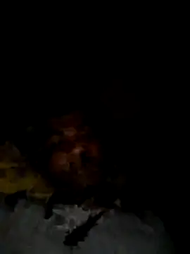 Palash2001 online show from April 2026 05:50:02 PM