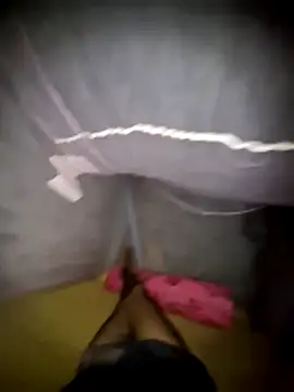 Palash2001 online show from April 2026 07:58:01 PM