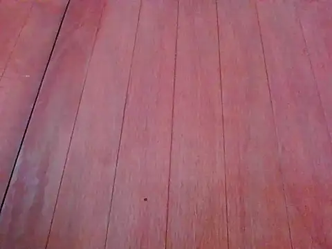 Annisof000 online show from April 2026 06:47:01 PM