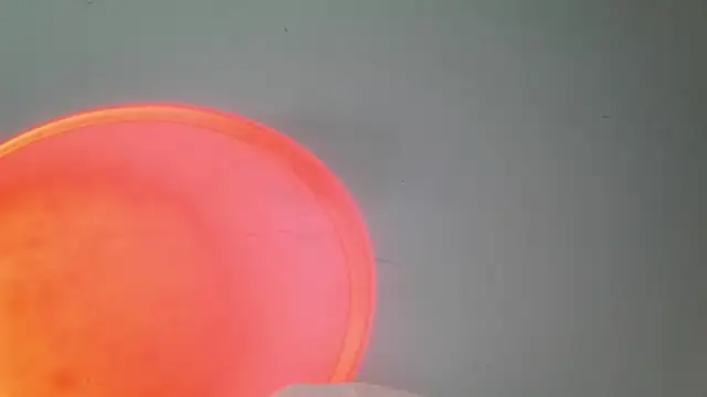 srghost333 online show from March 2026 03:56:01 AM