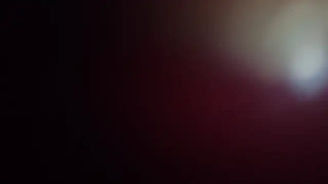 leilei998 online show from April 2026 11:11:01 AM