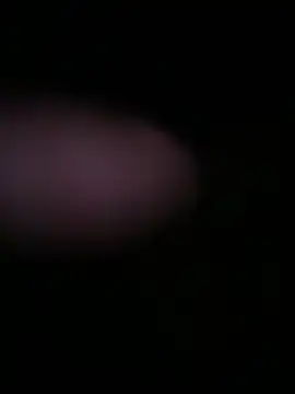 Snapshot of globalfucker34 chatting on March 2026 08:34:01 PM globalfucker34 online show from March 2026 08:34:01 PM