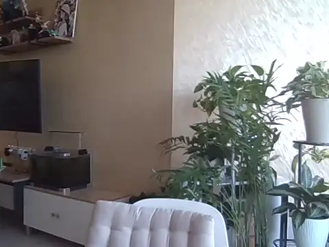 AsianJade1 online show from April 2026 02:31:01 AM