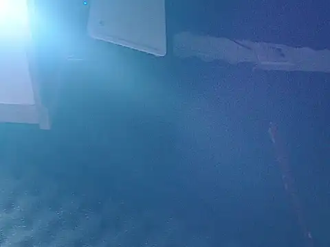 jack nastee online show from April 2026 05:19:01 AM