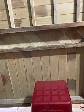 Zinii99 online show from April 2026 04:42:01 AM