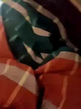 DeshiTiger online show from April 2026 08:09:02 AM