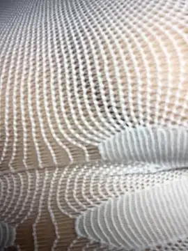 Jill valen online show from April 2026 07:37:02 AM