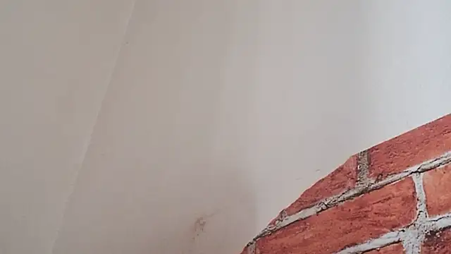 Snapshot of Sueliton2 chatting on March 2026 05:34:01 PM Sueliton2 online show from March 2026 05:34:01 PM