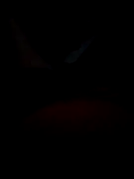 Snapshot of B_S0051 chatting on April 2026 08:13:02 PM B S0051 online show from April 2026 08:13:02 PM