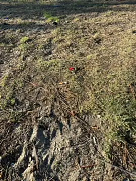 Kadenj92 online show from April 2026 03:20:02 PM