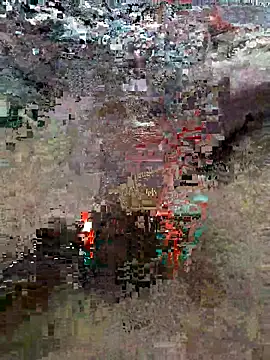 Snapshot of Alimohamed08 chatting on March 2026 01:55:01 AM Alimohamed08 online show from March 2026 01:55:01 AM