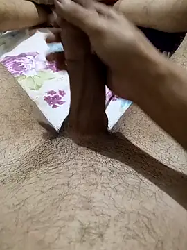 EgyptianHorse online show from April 2026 01:01:01 PM