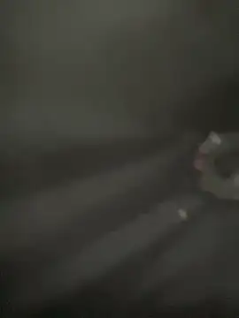 Snapshot of Lola666999 chatting on April 2026 02:25:02 PM Lola666999 online show from April 2026 02:25:02 PM