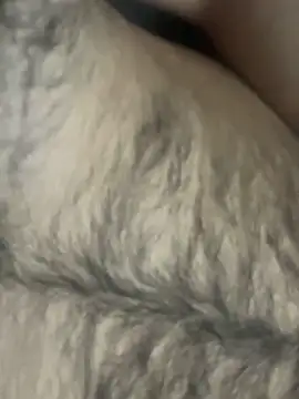 Snapshot of TurkishBoyzs chatting on April 2026 07:29:01 PM TurkishBoyzs online show from April 2026 07:29:01 PM