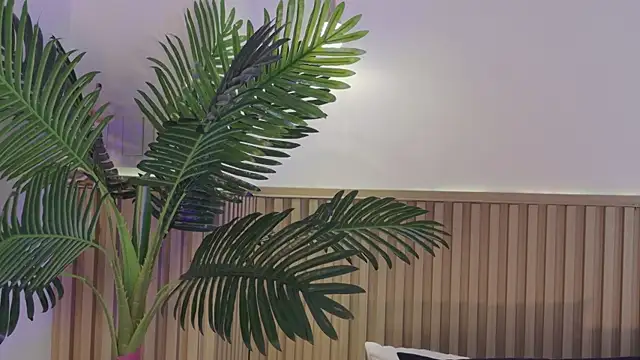 Aly leee online show from April 2026 12:06:02 PM