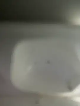 Snapshot of scarlett_turner_ chatting on April 2026 02:33:02 AM scarlett turner online show from April 2026 02:33:02 AM