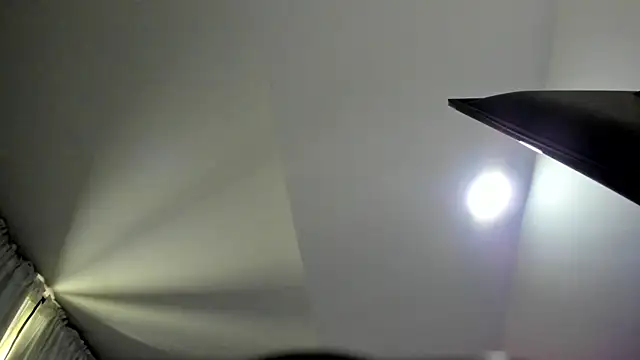 LexyNova  online show from May 2026 02:46:02 PM