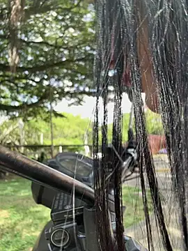 SofiParma online show from March 2026 07:25:01 PM