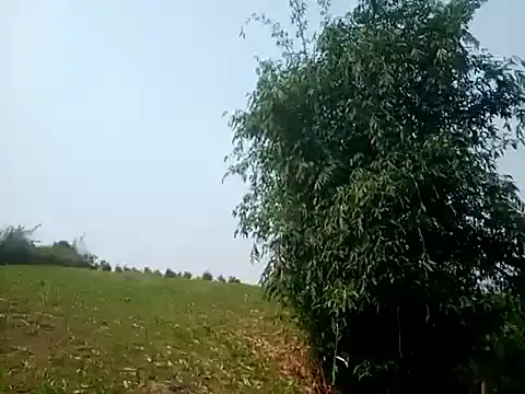 Snapshot of jikey-bibi chatting on April 2026 02:17:02 AM jikey-bibi online show from April 2026 02:17:02 AM