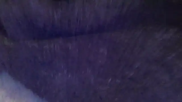 Snapshot of basecamp5 chatting on July 2026 02:02:01 AM basecamp5 online show from July 2026 02:02:01 AM