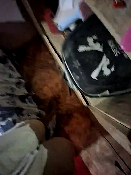 Snapshot of Matheus_Enrique chatting on April 2026 03:41:02 PM Matheus Enrique online show from April 2026 03:41:02 PM