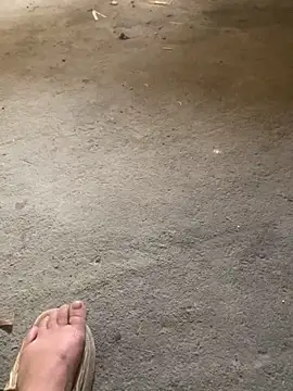 candy-beo online show from April 2026 05:25:01 AM