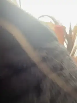 Snapshot of AlmaSajor_ chatting on April 2026 01:17:02 PM AlmaSajor online show from April 2026 01:17:02 PM