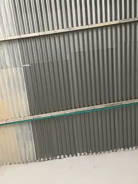 Snapshot of RAMONA_and_ROGER chatting on April 2026 01:34:02 PM RAMONA and ROGER online show from April 2026 01:34:02 PM