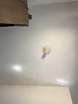 Snapshot of sanches_065 chatting on April 2026 04:52:01 PM sanches 065 online show from April 2026 04:52:01 PM