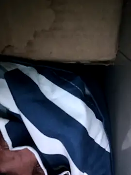 billboyhoney online show from April 2026 09:31:01 PM