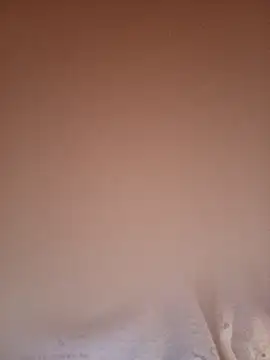 Carolinamascara online show from April 2026 03:54:02 AM