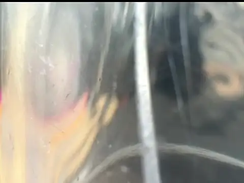 jake 1boy online show from April 2026 06:41:01 PM