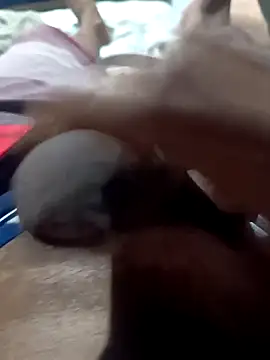 rogeriobastospqdt online show from April 2026 02:29:01 PM