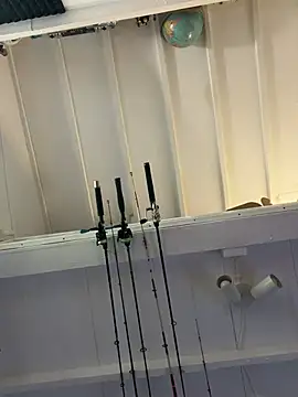 Snapshot of Vexer30 chatting on April 2026 02:48:01 PM Vexer30 online show from April 2026 02:48:01 PM