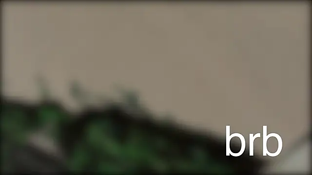 oakpatch online show from April 2026 10:41:02 AM