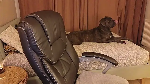 Snapshot of Sharon_Red chatting on December 2024 06:21:01 PM Sharon Red online show from December 2024 06:21:01 PM