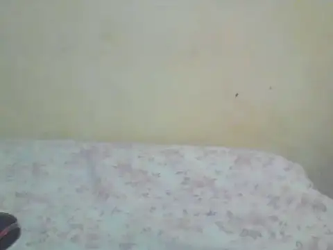 Krrzu online show from May 2026 09:37:01 AM